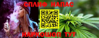 прущие грибы Дубна