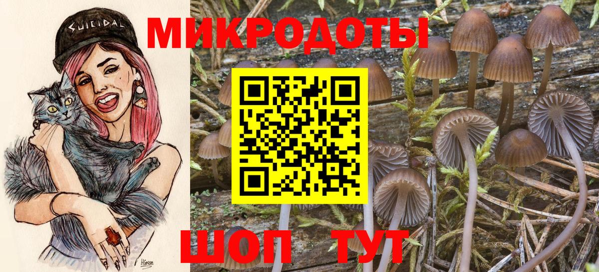 Слободской  Псилоцибиновые грибы Psilocybine cubensis  купить наркотики сайты  Вход с VPN 