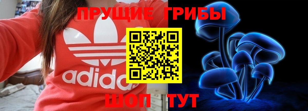 Псилоцибиновые грибы GOLDEN TEACHER Слободской